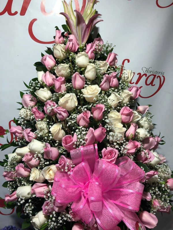 WhatsApp Image 2018-08-23 at 8.48.51 AM