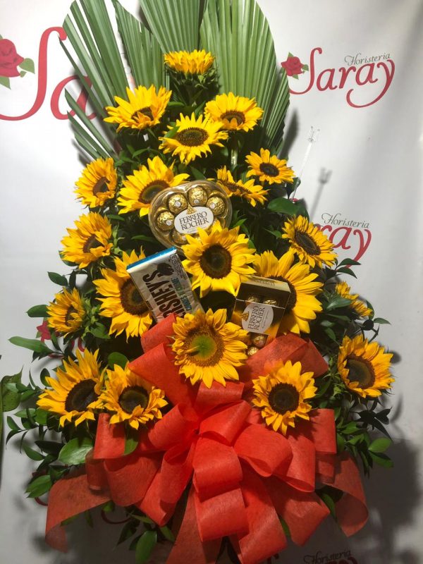 WhatsApp Image 2019-07-22 at 6.45.34 PM