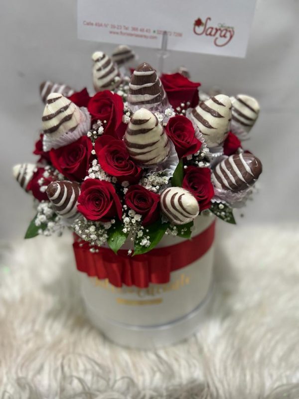 WhatsApp Image 2023-03-02 at 9.16.02 AM