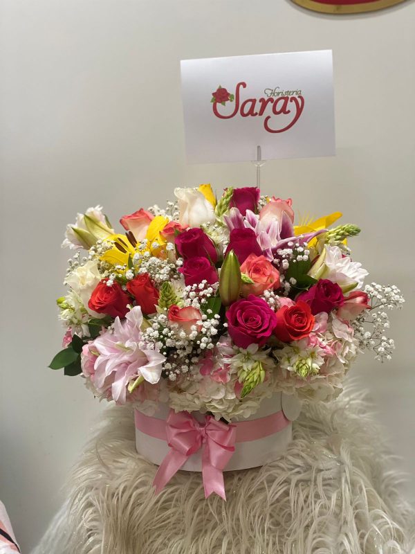 WhatsApp Image 2023-09-28 at 7.41.22 AM